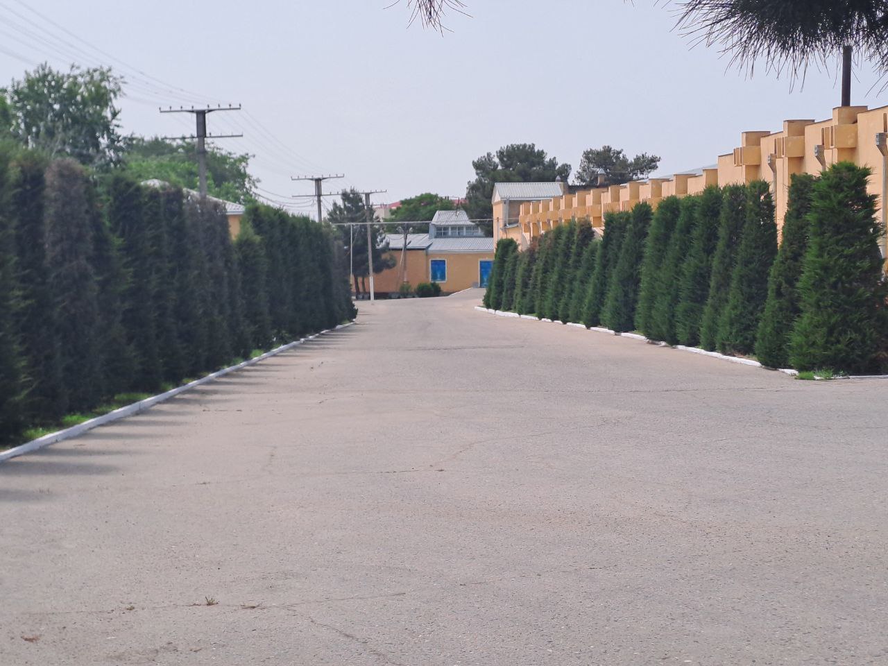 Kombinat markaziy transport va ishlab chiqarish yo‘lagi